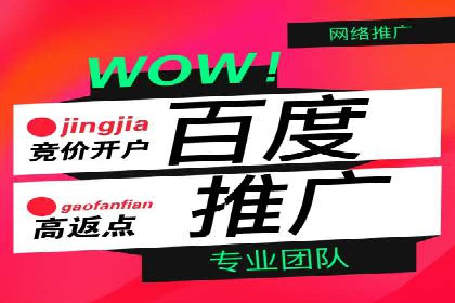 某电商企业如何利用百度搜索推广提升销售额